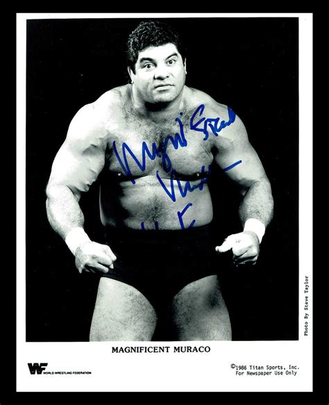 Don "The Magnificent" Muraco Pose 6 Signed Photo COA – The Wrestling ...