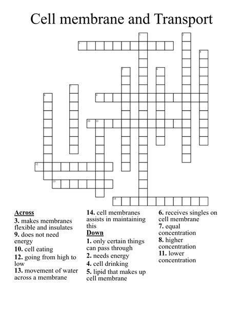 Cell Membrane And Transport Crossword Wordmint