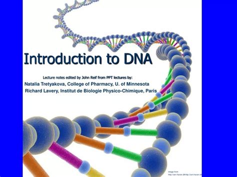 Ppt Introduction To Dna Lecture Notes Edited By John Reif From Ppt Lectures By Powerpoint