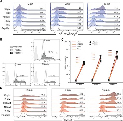 Ultrarapid Lytic Granule Release From Ctls Activates Ca Dependent