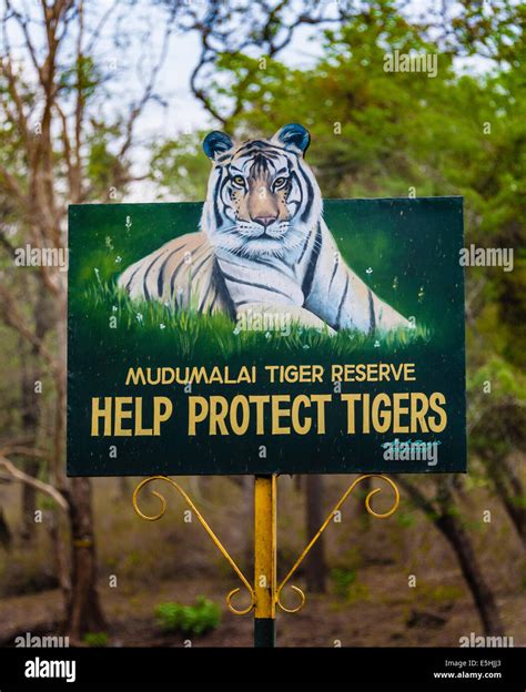 Schützen Tiger Hinweisschild Mudumalai Wildlife Sanctuary Tamil