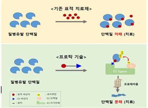 질병 단백질 분해”난치병 치료 새길 연다 헤럴드경제