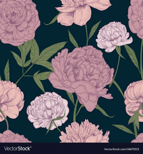 Beautiful Detailed Peonies Seamless Pattern Hand Vector Image