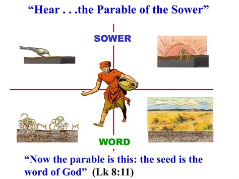 Parable Of The Soilsppt