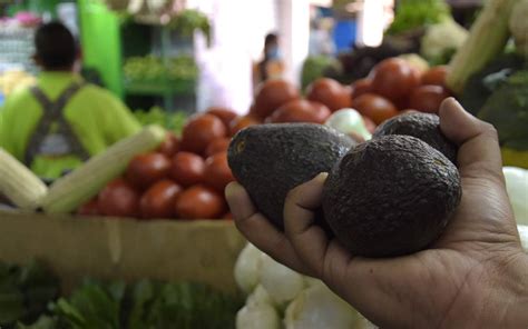 De Julio D A Internacional Del Aguacate El Sol De Salamanca