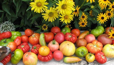 heirloom plant