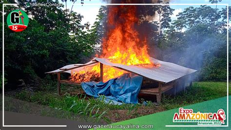 Incineran más de 7 toneladas de hoja de coca y destruyen 1 laboratorio