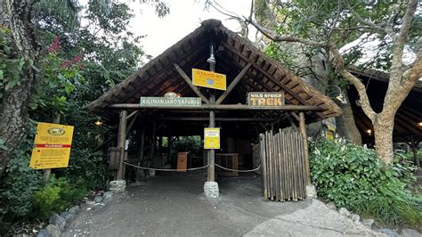 Complete Guide to Kilimanjaro Safaris - WDW Prep School