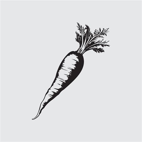 Carrot Image Vector 36120427 Vector Art at Vecteezy