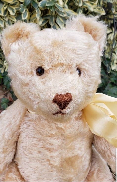 After This Vintage Steiff Bear Received New Glass Eyes From