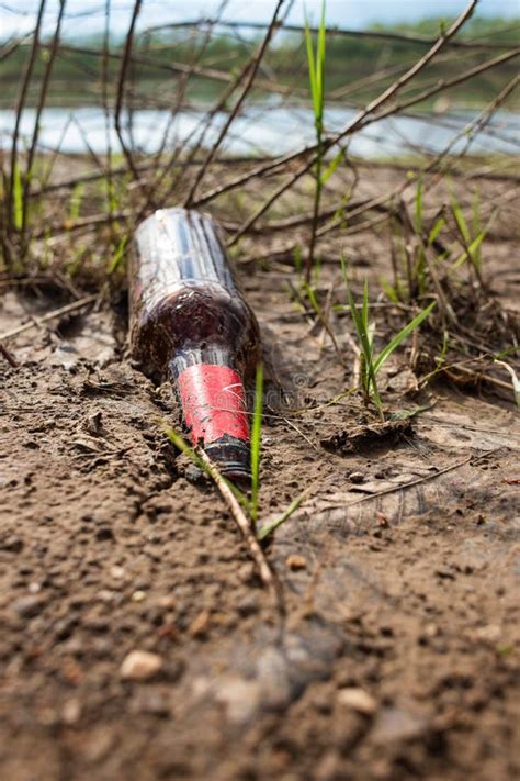 Abandoned Garbage in Nature. Environmental Damage Caused by Garbage Pollution Stock Photo ...