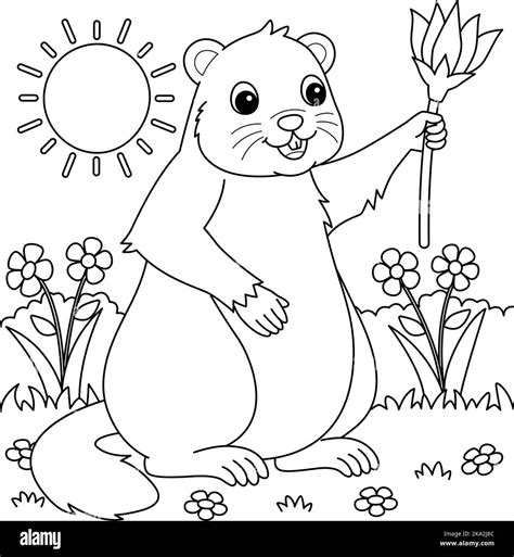 Groundhog Holding Flower Coloring Page For Kids Stock Vector Image