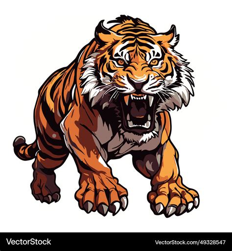 Angry tiger roar Royalty Free Vector Image - VectorStock