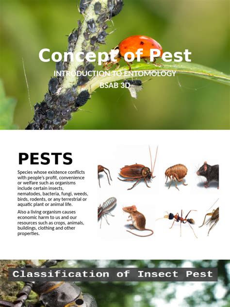 concept  pest