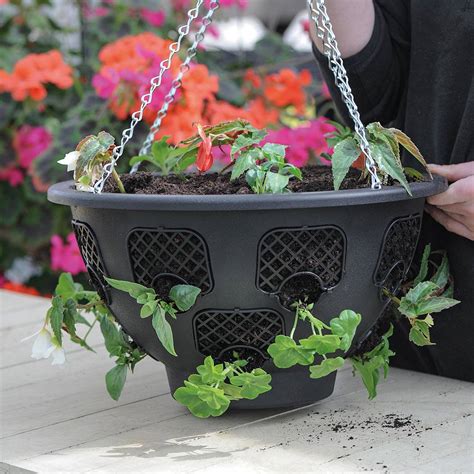 Easy Fill Hanging Basket Thompson Morgan