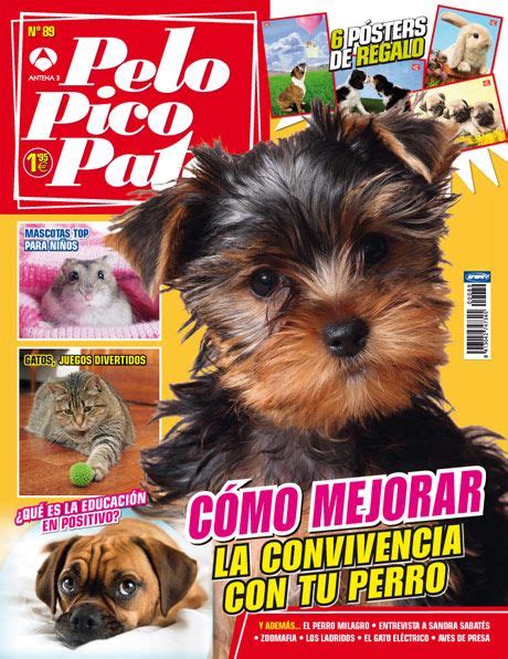 Pin En Revistas Infantiles