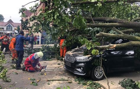 Sejumlah Bangunan Dan Mobil Tertimpa Pohon Akibat Angin Kencang Di