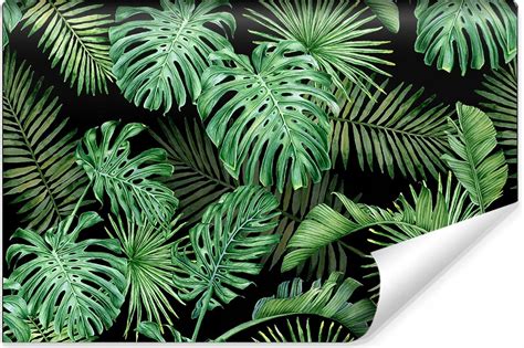 Doboxa Fototapeta Vinyl Gładki Liście Monstera 270X180 B1 Opinie i