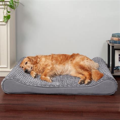 Cat Beds - Free shipping | Chewy