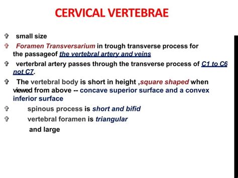 Anatomy of cervical spine | PPT | Free Download