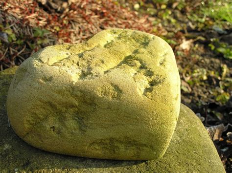 Free Images Nature Rock Leaf Monument Statue Green Botany