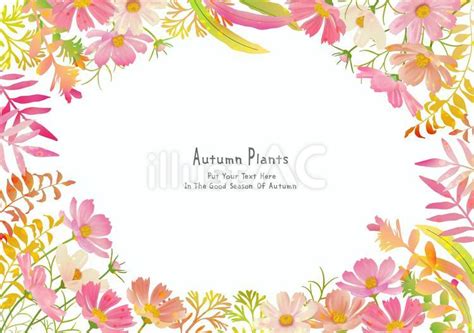コスモスと紅葉した葉っぱたち005イラスト - No: 24179550｜無料イラスト・フリー素材なら「イラストAC」