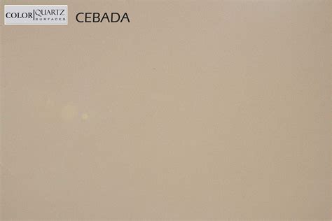 How to prepare your exterior surfaces for a loxon application 16