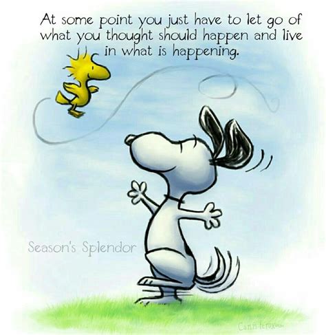 Inspirational Snoopy Peanuts Snoopy Quotes Peanuts Quotes Snoopy