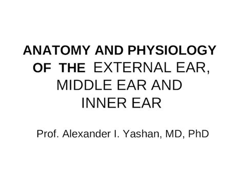 PPT ANATOMY AND PHYSIOLOGY OF THE EXTERNAL EAR MIDDLE EAR AND INNER