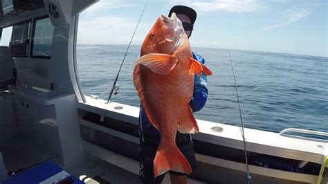 Big Red Emperor Snapper And More No Misses Fishing Youtube