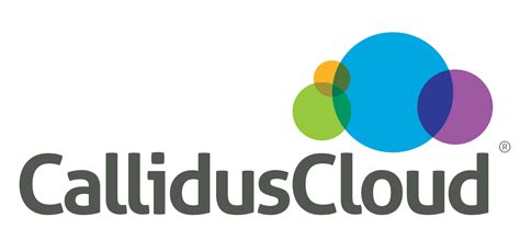 Callidus Follow-On Offering Strengthens Balance Sheet For The Future ...