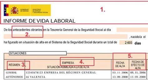 Everything You Need To Know About Your Employment History Report And