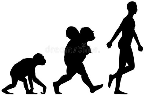 Evolution Of Man Stock Vector Illustration Of Java