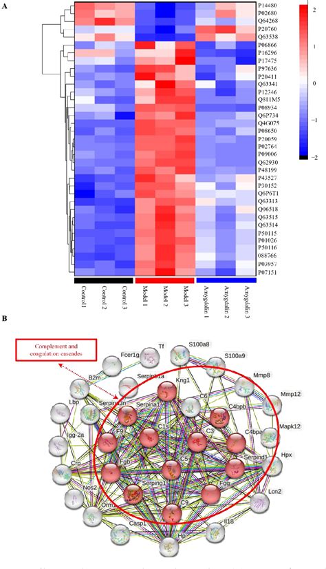 Figure 2 From TMT Based Proteomics Reveal The Mechanism Of Action Of