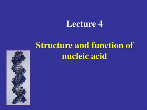 PPT - Lecture 4 Structure and function of nucleic acid PowerPoint ...