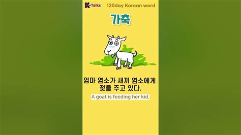 암탉 새끼염소 한국어 배우기 한국어 단어 익히기 Learn Korean Talk To Me In Korean