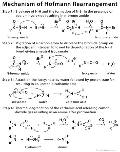 Hofmann Rearrangement: Example, Mechanism, and Application