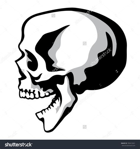 Vector Skull Illustration Isolated On White Stock Vector Royalty Free