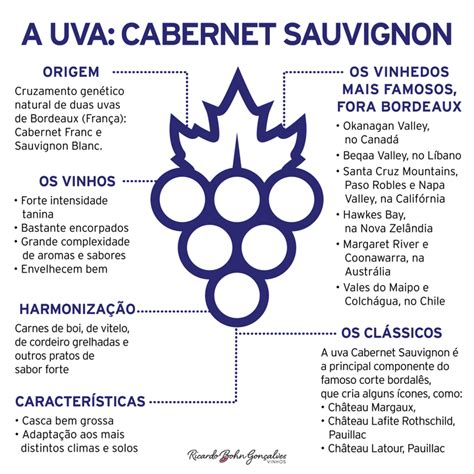 7 infográficos sobre as uvas mais conhecidas do mundo RBG Vinhos