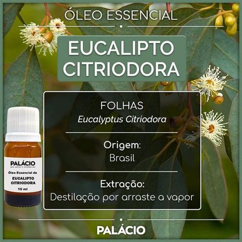 Leo Essencial De Eucalipto Citriodora Ml Puro Pal Cio Das