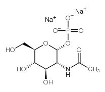 Cas N Acetyl D Glucosamine Phosphate Disodium Salt