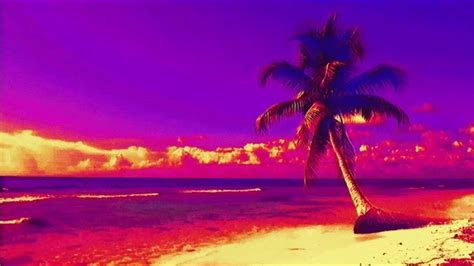 Island Surf Vaporwave Coub The Biggest Video Meme Platform