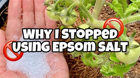 Uses For Epsom Salt Gardening