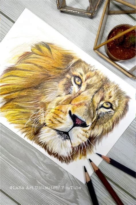 Realistic color pencil drawing of lion | Color pencil drawing, Colored ...