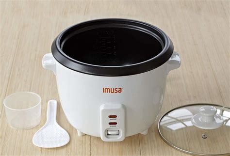 Best Mini Rice Cooker 2024 Denise Donielle