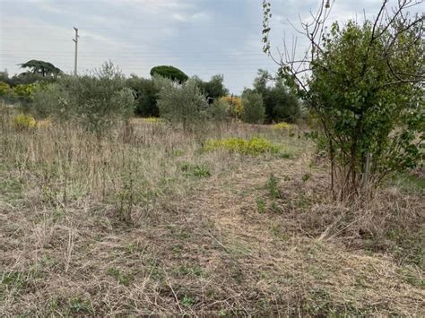 Terreno Non Edificabile Via Ardeatina Km 16 500 Roma Rif 95538864