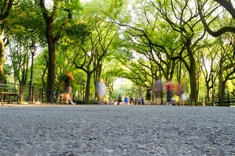 The Mall Central Park New York Stock Image Everypixel