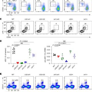 The Kb Irf Enhancer Cis Regulates Chromatin Accessibility And