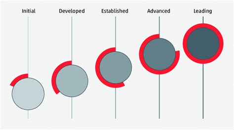 maturity levels   assessment  digital maturity