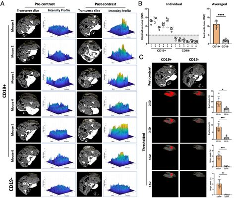 Visualizing Cell Cell Communication Using Synthetic Notch Activated Mri Pnas